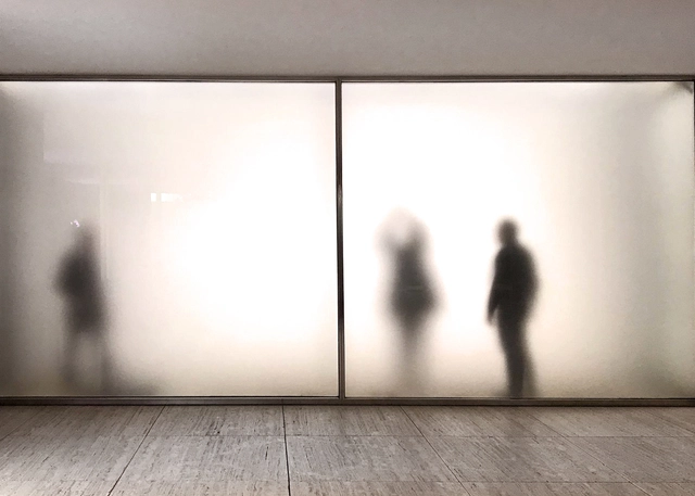 Fundació Mies van der Rohe – Programa 2020 - Imagen Principal