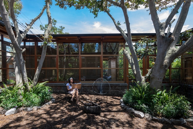 Casa entre árboles / El Sindicato Arquitectura - Fotografía exterior, Casas, Jardín, Puerta, Fachada