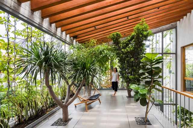 Biofília: trazendo a natureza para dentro de casa - Imagem de Destaque