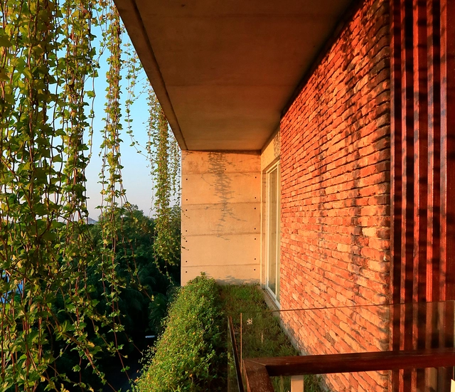 Balcones con vegetación: detalles y secciones de jardines en altura  - Imagen Principal