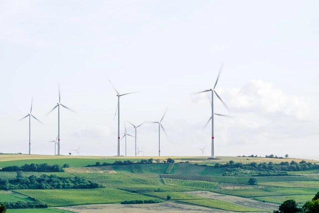 76 Ações imediatas para combater as mudanças climáticas - Imagem de Destaque