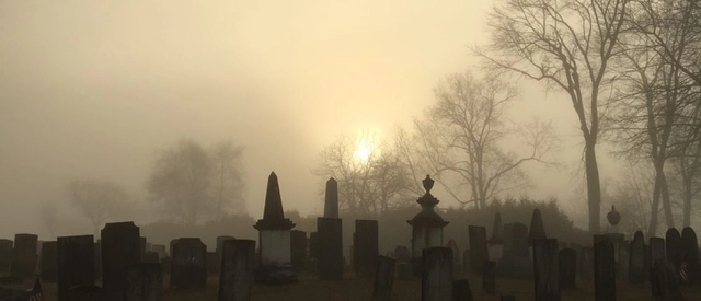 In Praise of Cemeteries - Featured Image