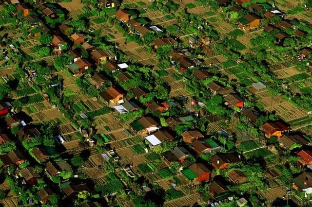 Uma cidade onde as pessoas plantam sua própria comida - Imagem de Destaque
