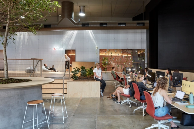Sede Scrunch / KIN Architects - Fotografía interior, Renovación, Cocina