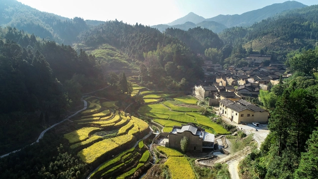 Li Hua de TAO: "No hay suficiente debate sobre cómo equilibrar la modernización con la preservación" - Arch Daily Interviews