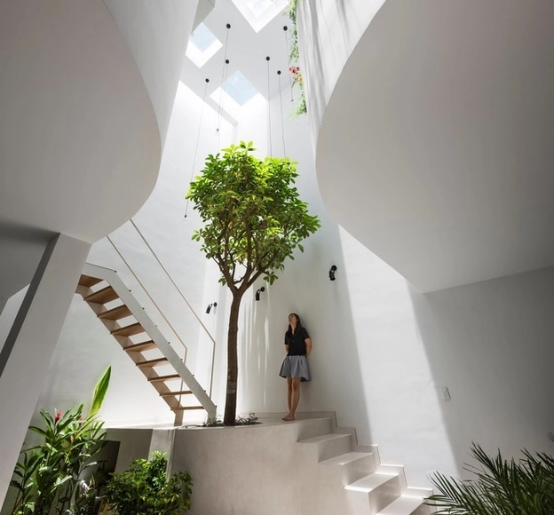 Como transformar um ambiente interno poluído em um lar saudável - Sustentabilidade
