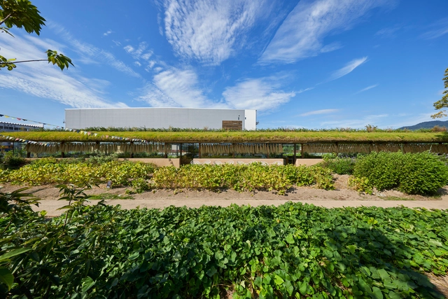 IROHA 红叶馒头加工厂 / 中村拓志建筑事务所 & NAP - 建筑图, 工厂