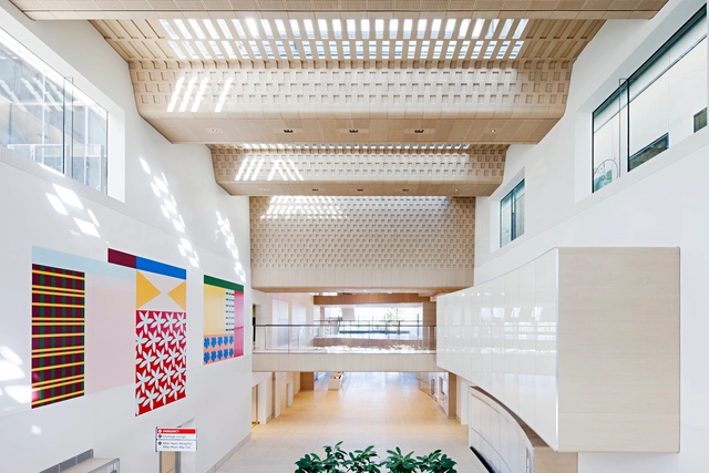 Bendigo Hospital / Silver Thomas Hanley + Bates Smart - Interior Photography, Hospital , Stairs, Facade, Chair