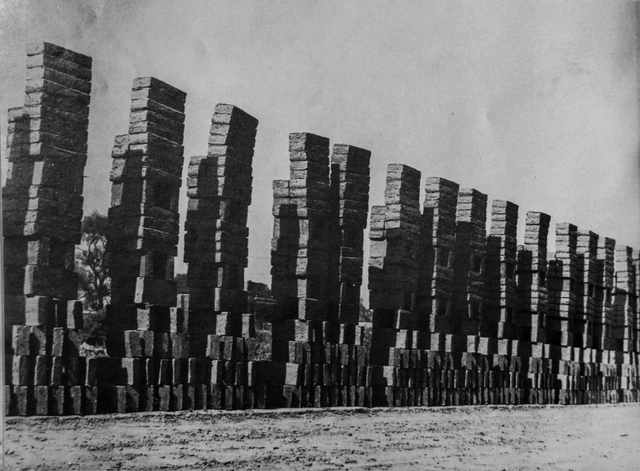 Marianne Gast y la invisibilización femenina en la educación arquitectónica tapatía - Imagen Principal
