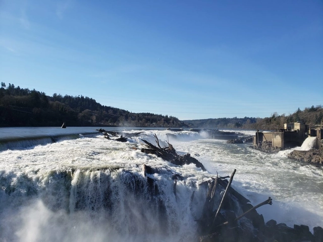 MASS Design Group to Lead Willamette Falls Tribal Engagement Process - Featured Image