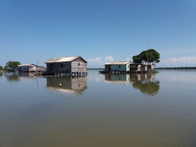 Arquitectura palafítica en la Cienaga Grande del Magdalena - Imagen Principal