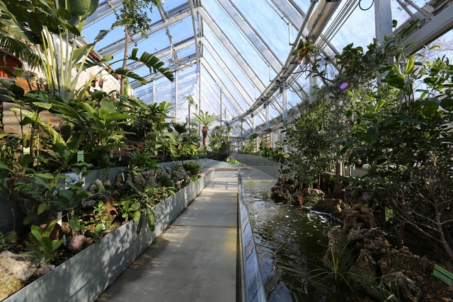 维斯理学院植物园 / Kennedy & Violich Architecture - 建筑图, 温室, 花园