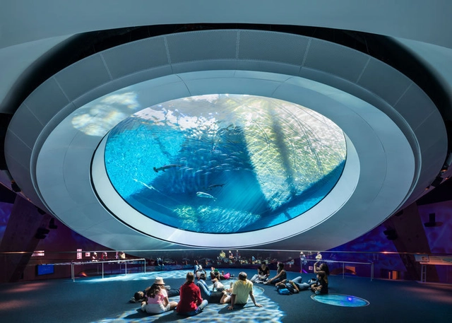 Building Wonder: Global Aquariums Capture a Blue World - Featured Image