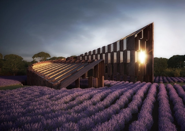 Hachem Designs Hotel Among Lavender Fields in Australia - Featured Image