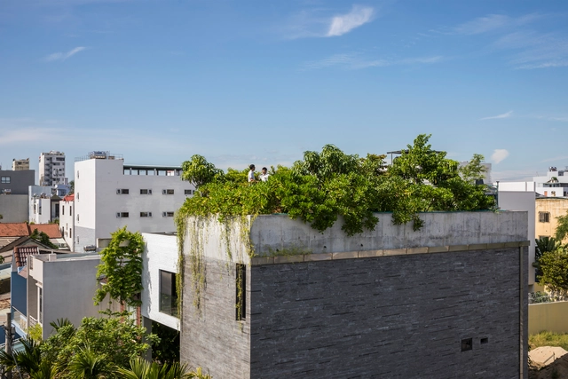 Casa Thang / VTN Architects - Casas
