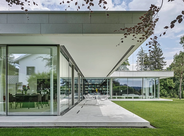 I Can See Clearly Now: SwissFineline  - Featured Image