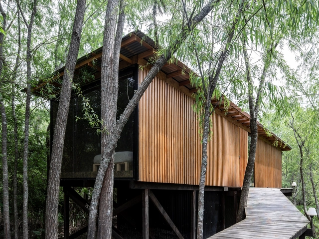 Casa en Delta Buenos Aires / Matías Cosenza Arquitecto - Fotografía exterior, Casas, Puerta, Barandas, Bosque