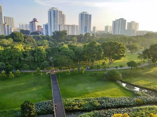 Planejamento integrado de soluções baseadas na natureza: a chave para a resiliência urbana - Imagem de Destaque