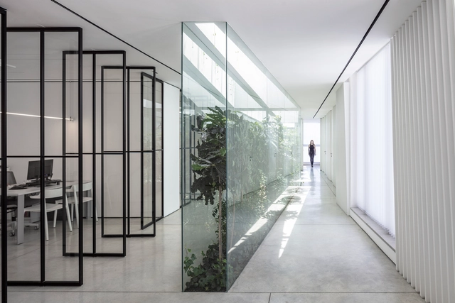 Oficina con patio / Tal Goldsmith Fish Design Studio - Fotografía interior, Interiores De Oficina