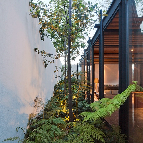 Casas con patios laterales: Luz natural y ventilación mediante jardines estrechos  - Imagen Principal