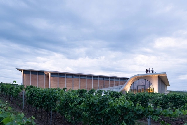 Lahofer酒庄 / CHYBIK + KRISTOF  - 建筑图, 酒庄, 拱