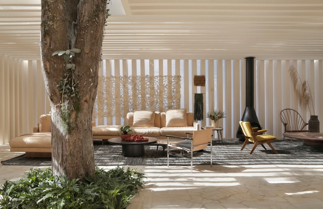 Interiores brasileiros: 16 projetos que valorizam a iluminação natural - Imagem de Destaque