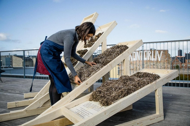Seaweed as Cladding: Combining Old Traditions With New Tech - Featured Image