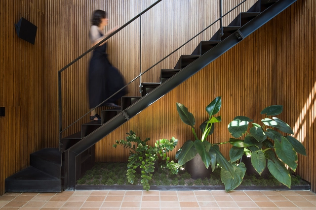 12 Plantas para cultivar em ambientes internos - Arquitetura Paisagística