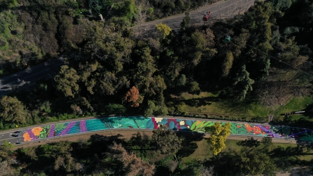 El Parque Metropolitano de Santiago reabre sus puertas con intervención de Cekis - Imagen Principal