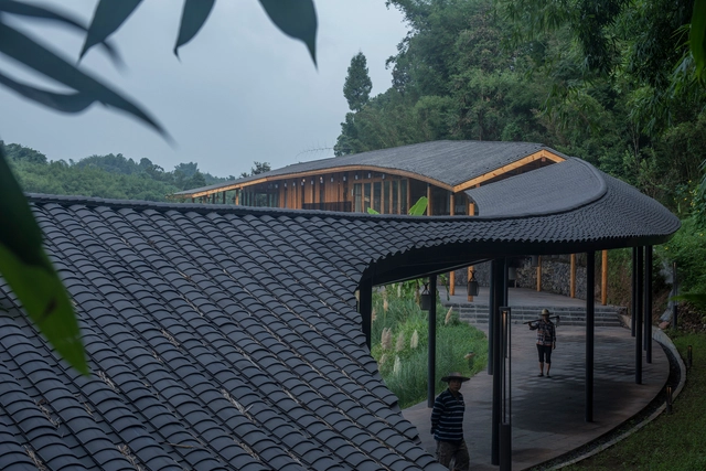 Bamboo Branch Academy / Archermit - Exterior Photography, Public Architecture, Garden, Facade