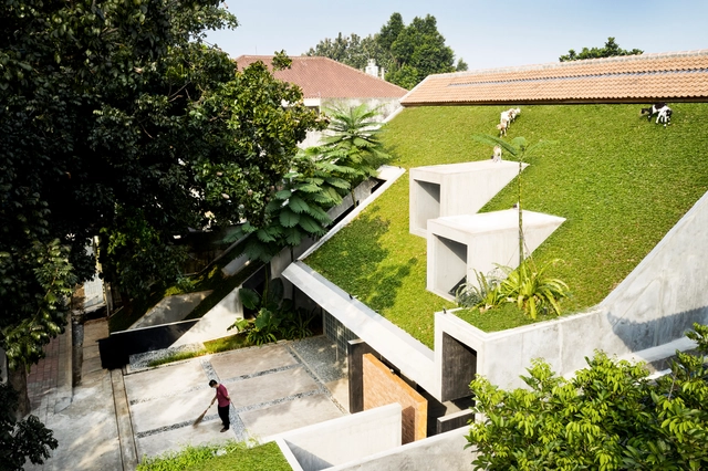Micro Tropicalidade, Sede da RAD+ar / RAD+ar (Research Artistic Design + Architecture) - Fotografia de Exterior, Arquitetura De Escritórios