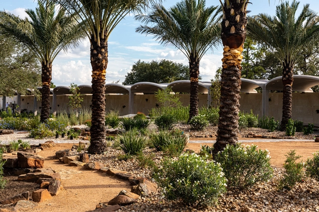 Houston's First Botanic Garden Opens as a Museum of Plants - Featured Image