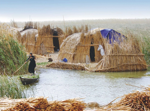 Lo-TEK: Desenho de indigenismo radical (recuperando técnicas indígenas de trabalho com a natureza) - Imagem de Destaque