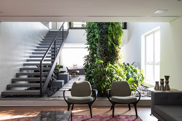 Interiores brasileños: 10 proyectos con jardín interior - Imagen Principal