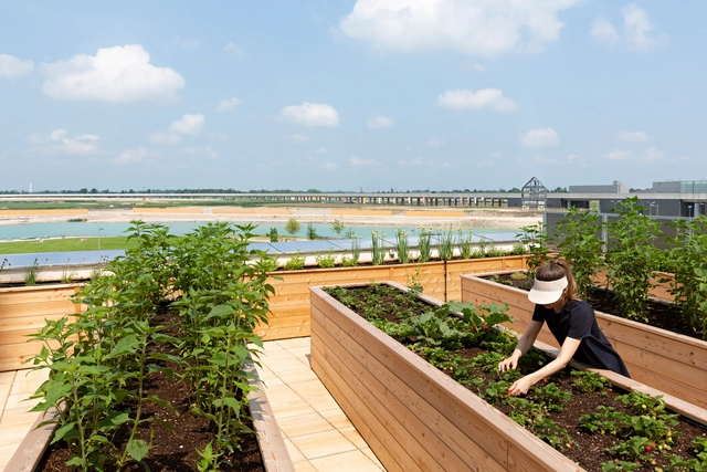 Dia Mundial da Alimentação: arquitetura e a promoção da segurança alimentar - Imagem de Destaque