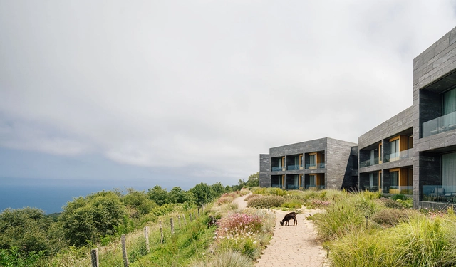 From Architecture as a Civic Task to an Interest in Materials: 4 Emerging Practices in Europe - Featured Image