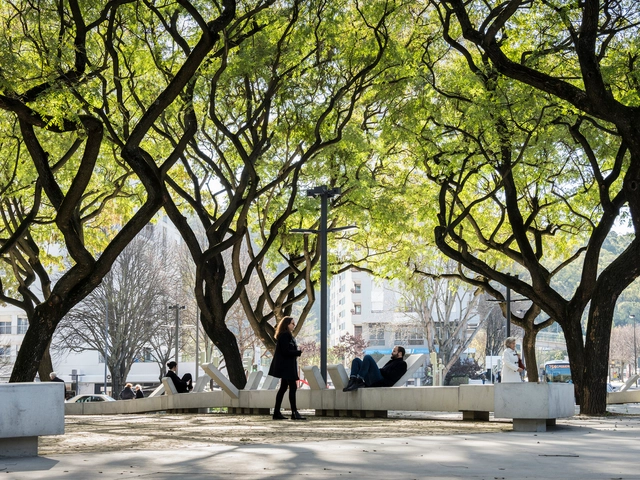 City Square: Redefining Public Spaces During and After the Pandemic - Featured Image