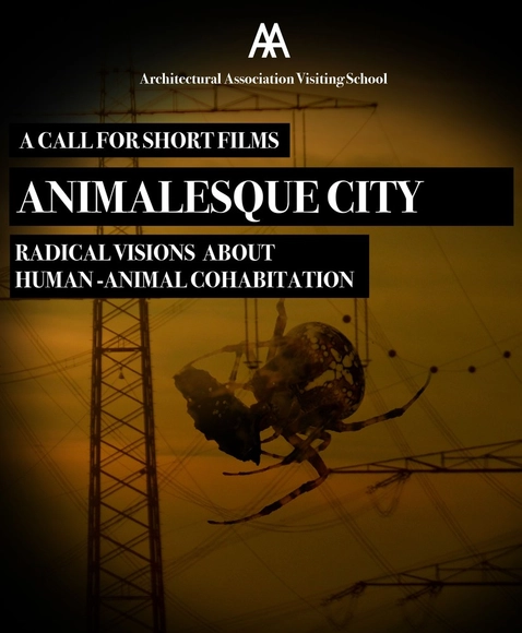 Animalesque City - Visions for Human/Animal Cohabitation - Call for short movies - Featured Image