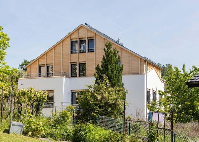 Belmonthoux 别墅加建 / Dreier Frenzel Architecture + Communication - 建筑图, 加建项目, 表皮