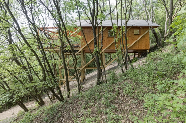 匈牙利“十二支柱”森林度假木屋 / RJZS Architects - 建筑图, 独立住宅