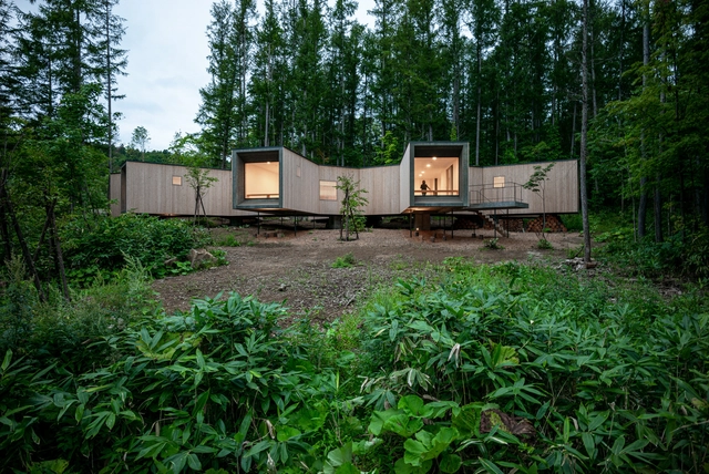 Casa en el bosque / Florian Busch Architects - Fotografía exterior, Casas