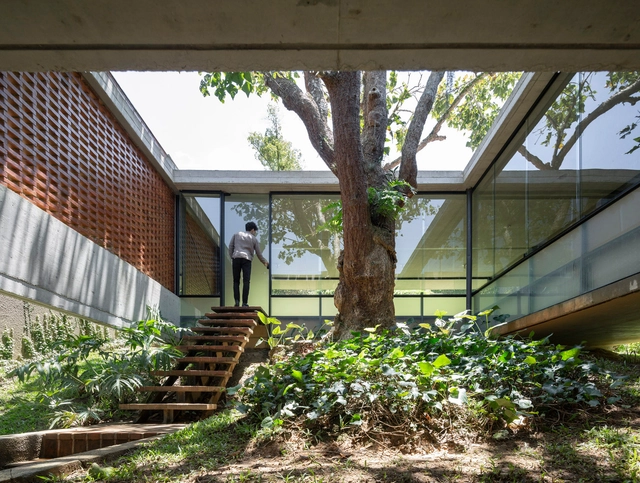 Casa Mulungu / Rosenbush + Mariana Meneguetti - Fotografía interior, Casas, Escaleras