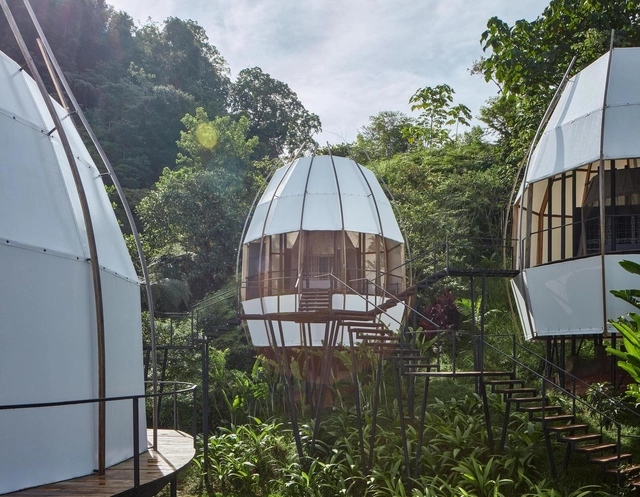 COCO Art Villas Costa Rica / ARCHWERK + Formafatal - Fotografía exterior, Alojamiento, Jardín