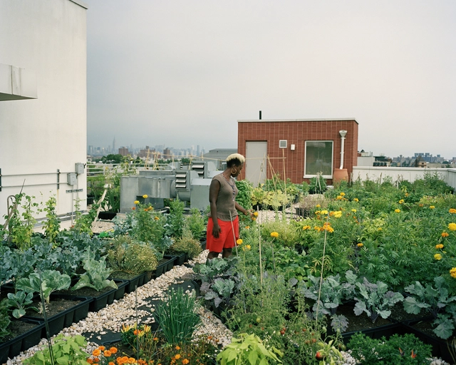 O que é agricultura urbana? - Imagem de Destaque