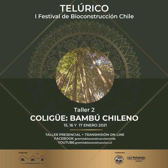 Curso de Diseño y Construcción con Coligüe, Bambú Chileno - Imagen Principal