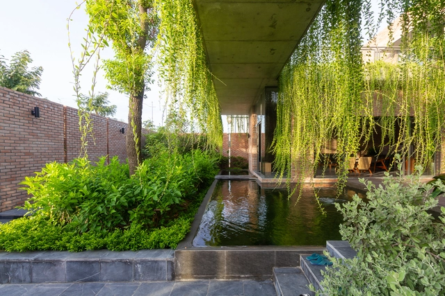 Diseñando jardines colgantes para la arquitectura residencial - Imagen Principal