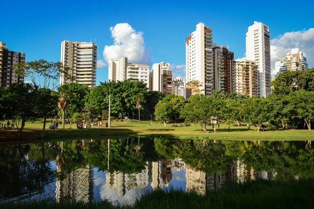 Quais são as cidades mais arborizadas do Brasil? - Imagem de Destaque