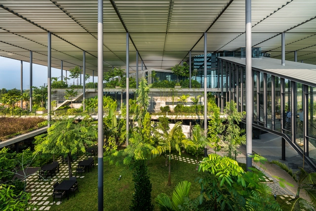 Biophilia in Architecture: Nature Indoors and Outdoors - Featured Image