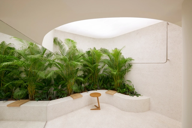 Tienda GINLEE / Wynk Collaborative - Fotografía interior, Interiores Comerciales