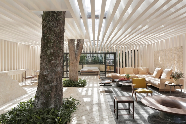 A forma segue o bem-estar: projeto baseado em traumas e o futuro do design de interiores - Imagem de Destaque